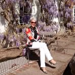 Barbara Ding - Facebook