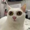 Barbara - @barbaradickel - TikTok