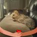 Barbara Dinning - Facebook