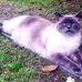 Barbara Dinnington - Facebook