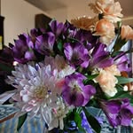 Barb Disbrow - @barbaradisbrow - Instagram