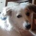 Barbara Discipio - Facebook