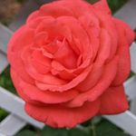 Barbara Richter DiStefano - @barbdi412 - Instagram