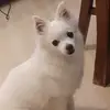 Barbara Di Stella - @barbaradistella - TikTok