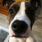 Stephane Barbara Distler Winterstein - Facebook