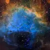 barbaradittmann - @barbaradittmann - TikTok