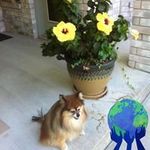 Barbara Dittrich - @dittrich.barbara - Instagram