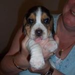Barbara Dittrich - @barbara.dittrich.3 - Instagram