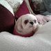 Barbara Ditzler - Facebook
