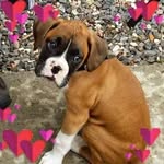 Barbara Dively Bordell - @barbarabordell - Instagram