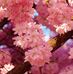 Barbara Dixey - Facebook