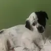 barbaradizon - @barbaradizon - TikTok