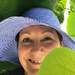 Barbara Dobbs - @barbaradobbsart - Instagram