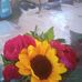 Barbara Tapia - Facebook