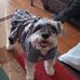 Barbara Dockery - Facebook