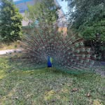 Barbara Hanson Dockery - @unicornmomma1981 - Instagram