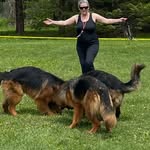 Barbara Dodd - @gsdogsma - Instagram