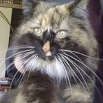 Barbara Dodds - @barb0306 - Instagram