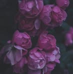 Barbara Doepke - Facebook