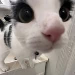 babi - @barbara_doering0 - Instagram