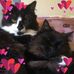 Barbara Doering - Facebook