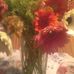 Barbara Doering - Facebook