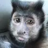 barbaraedoherty - @barbaraedoherty - TikTok