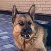 barbaradog - @barbaradogg - TikTok