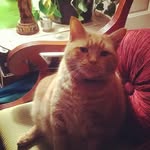 Barbara Lemmo Dolan - @lemmodolan - Instagram
