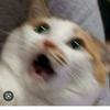 barbaradolan6 - @barbaradolan6 - TikTok