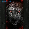 kalebdominy - @barbaradominy401 - TikTok