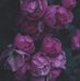 Barbara Doepke - Facebook