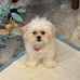 Barbara Dumke - Facebook