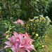 Barbara Dymke - Facebook