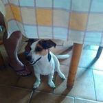 Barbara Di Donato - @didonato.barbara - Instagram