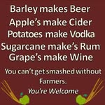 Barbara Donnelly - @barbara.donnelly2 - Instagram