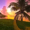 barbaradonnelly - @barbaradonnelly - TikTok