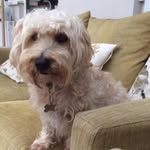 Barbara Donovan - @barb_donovan_123 - Instagram