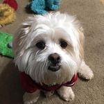Barbara Donovan - @barbara.donovan.587 - Instagram