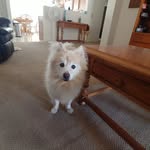 Barbara Donovan - @barb.donovan121 - Instagram