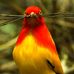 Barbara Doolin - Facebook