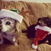 barbaradorazio366 - @barbaradorazio366 - TikTok