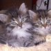 Barbara Dorfer - Facebook