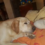 Barbara Doria - @barbara.doria.507 - Instagram