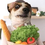 Barbara Doris Clemintine 🐶 - @barbaradorisclemintine - Instagram
