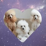 Barbara • Doris • Jolly - @bardolly_ - Instagram