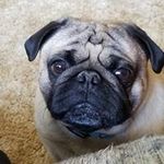 Barbara Dorman - @barbara.dorman - Instagram