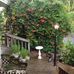 Barbara Dorn - Facebook