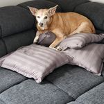 Barbara Dorner - Müller - @barbaradornermuller - Instagram