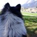 Babs Reich - Facebook